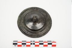 Foto von Bronzephalere (NHMW-PRAE-025105)